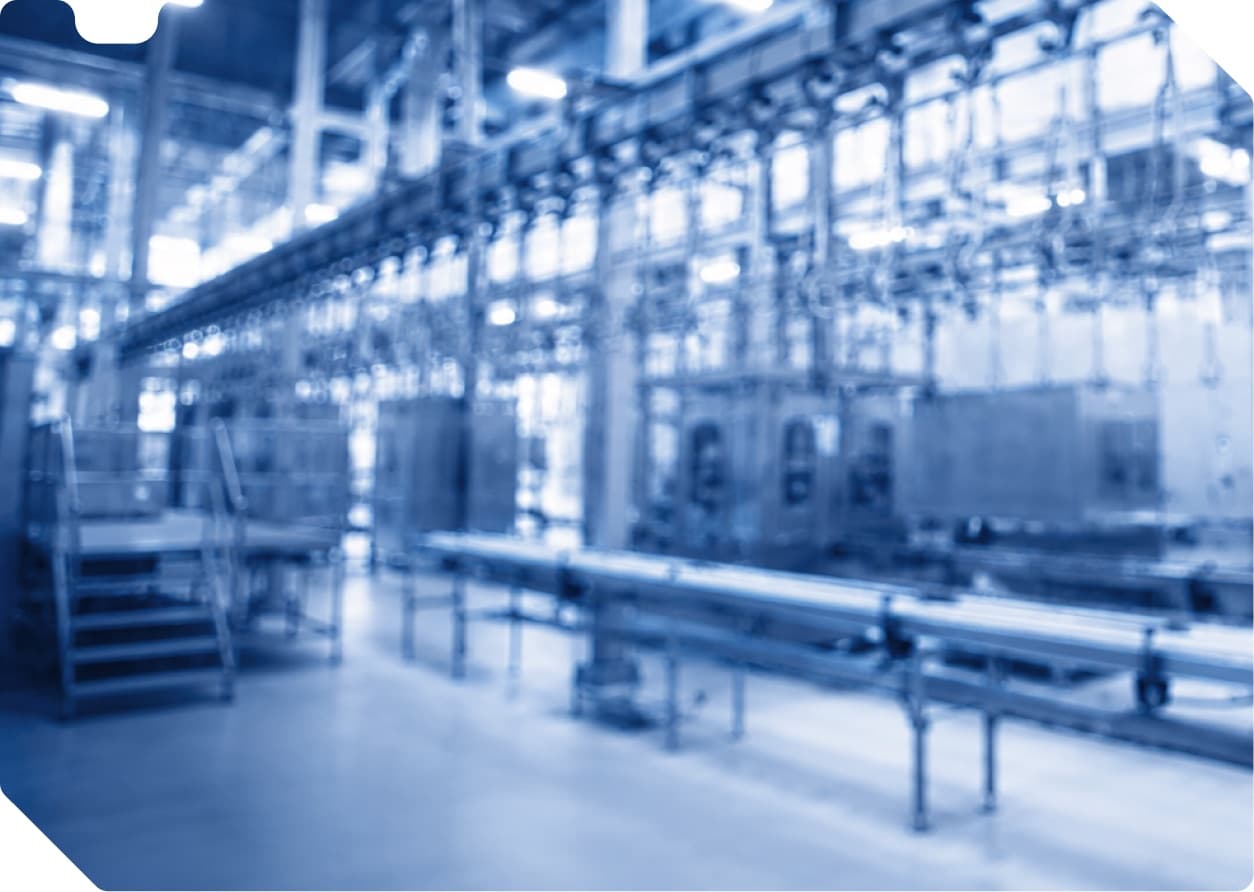 Meat processing line